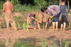 455108024_519528213927409_7468536395610884236_n